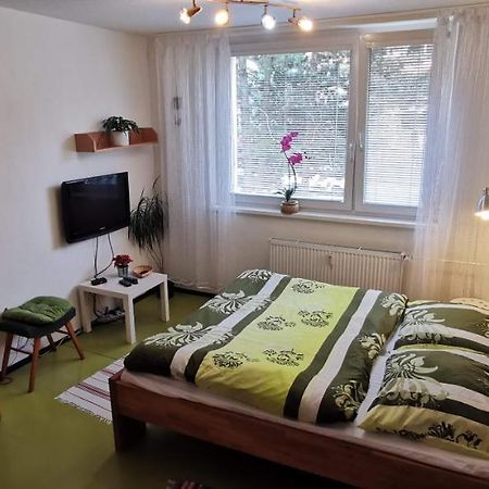 Apartman V Jihlava City Extérieur photo